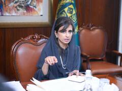 पाकिस्‍तानी मंत्री हिना रब्‍बानी ने जम्मू कश्मीर को लेकर दिखाई अकड़, कहा- जब तक आर्टिकल 370 बहाल नहीं होता, तब तक...