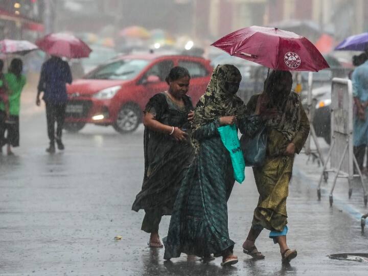 Heavy Rain In Tamil Nadu, Puducherry Prompts School Closure In Some Districts Heavy Rain In Tamil Nadu, Puducherry Prompts School Closure In Some Districts Heavy Rain In Tamil Nadu, Puducherry Prompts School Closure In Some Districts