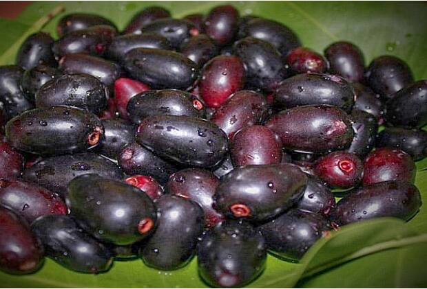 गरोदरपणात आई आणि विकसनशील गर्भ दोघांचेही संरक्षण करण्यासाठी मजबूत रोगप्रतिकारक शक्ती असणे आवश्यक आहे.