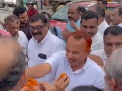 WATCH: Wayanad Congress Workers Celebrate SC Breather To Rahul Gandhi In Defamation Case