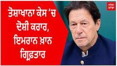 Pakistan News | ਤੋਸ਼ਾਖਾਨਾ ਕੇਸ ‘ਚ ਦੋਸ਼ੀ ਕਰਾਰ, ਇਮਰਾਨ ਖ਼ਾਨ ਗ੍ਰਿਫ਼ਤਾਰ