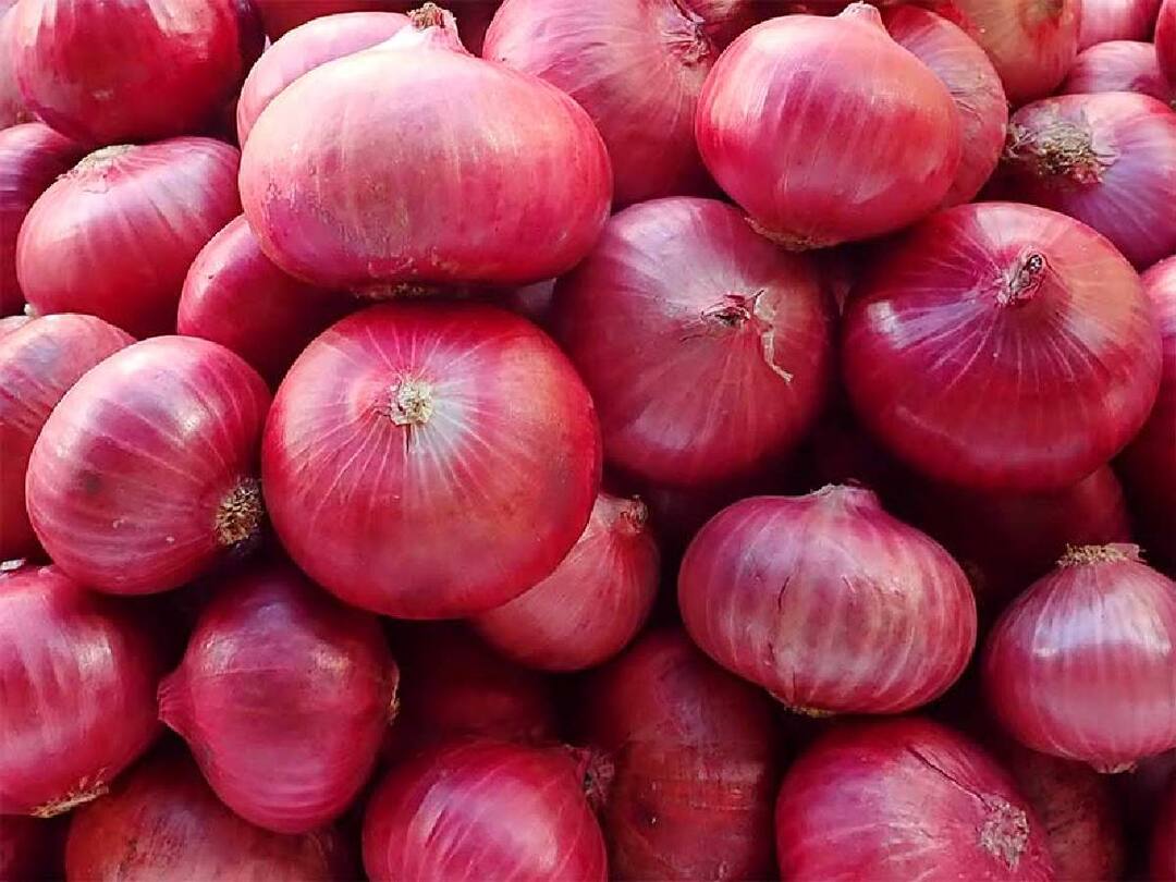 Onion Price: அடுத்த அதிர்ச்சி.. தாக்களியை தொடர்ந்து வெங்காயத்தின் விலையும் உயரும்.. என்ன காரணம்?