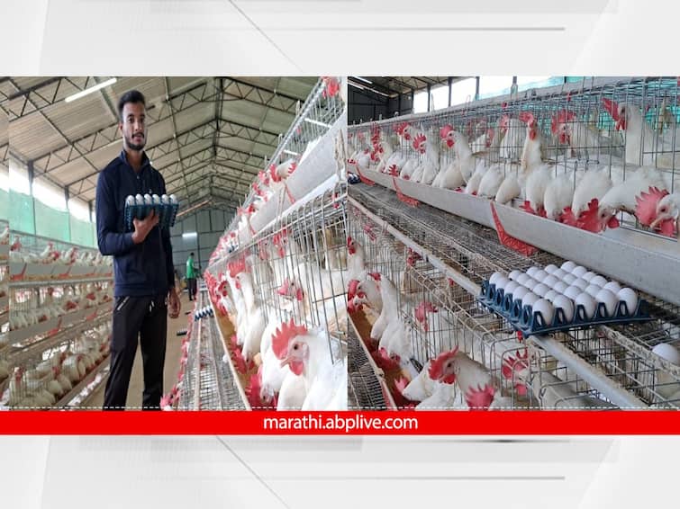 MBA degree holder youth start poultry business in Sindhudurg konkan region Maharashtra selling 9000 eggs per day Success Story : MBA ची डिग्री... तळकोकणात कुक्कुटपालनाचा व्यवसाय; दिवसाला 9 हजार अंड्यांची विक्री अन् लाखोंची उलाढाल