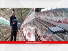 MBA ची डिग्री... तळकोकणात कुक्कुटपालनाचा व्यवसाय; दिवसाला 9 हजार अंड्यांची विक्री अन् लाखोंची उलाढाल
