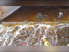 Sangli Krishna River : कारखान्याचे मळीमिश्रीत सांडपाणी कृष्णा नदी पात्रात, प्रदूषण नियंत्रण मंडळ गांधारीच्या भूमिकेत