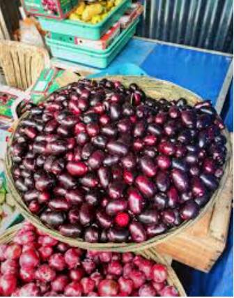 गरोदरपणातील हार्मोन्समुळे अनेकदा बद्धकोष्ठता आणि अपचन यांसारख्या पाचक समस्या उद्भवू शकतात. जामुनमधील उच्च फायबर सामग्री निरोगी पचन वाढवते आणि बद्धकोष्ठता प्रतिबंधित करते. फायबरमुळे आतड्याची हालचाल सुलभ होते.