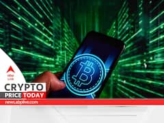 Cryptocurrency Price Today: Bitcoin, Ethereum See Losses As Shiba Inu Becomes Top Gainer