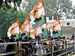 Glimpses Of Congress Celebrations After SC Stays Conviction Of Rahul Gandhi In 'Modi Surname' Defamation Case