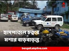 ডেঙ্গি পরিস্থিতি নিয়ে উদ্বেগের মধ্যেই আলিপুরদুয়ার জেলা হাসপাতাল চত্বরে মশার বাড়বাড়ন্ত