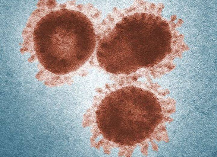 Covid New Variant EG.5.1 Spreading UK Coronavirus WHO Updates Covid New Variant: खत्म नहीं हुई कोरोना की 'आफत', सामने आया खतरनाक नया वेरिएंट!