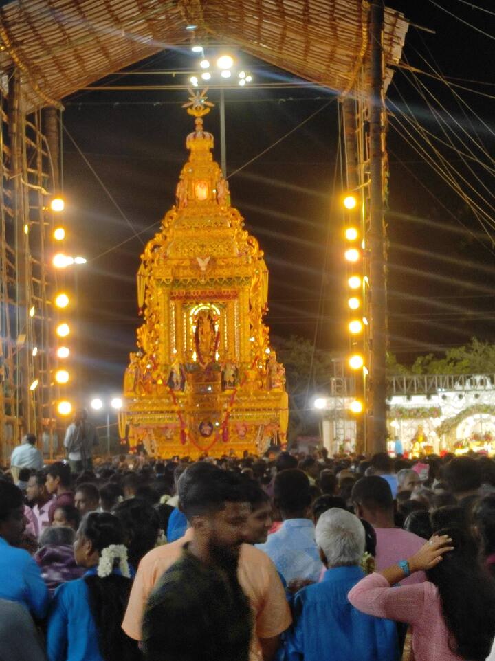 செயற்கை வைரக்கற்கள், வண்ணக் கண்ணாடிகள், பாசிமணிகள், வெல்வெட் துணி ஆகியவற்றோடு ஜப்பானில் இருந்து இறக்குமதி செய்யப்பட்ட தங்கமுலாம் பூசப்பட்ட காகிதங்களை கொண்டு தங்கத்தேர் உருவாக்கப்பட்டுள்ளது.