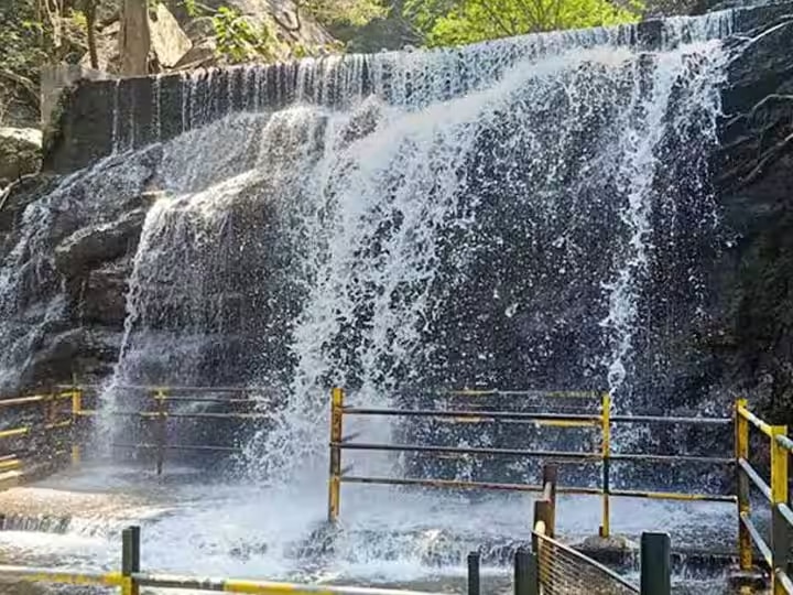 சுருளி அருவி பகுதிக்குள் காட்டு யானைகள்.. 4வது நாளாக குளிக்கத் தடை.. ஏமாற்றத்தில் சுற்றுலா பயணிகள்..!