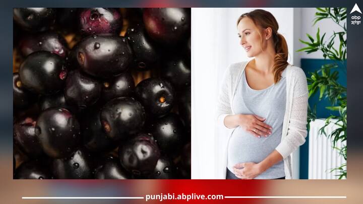 Jamun In Pregnancy: ਜਾਮਣ ਐਂਟੀਆਕਸੀਡੈਂਟਸ ਵਿੱਚ ਭਰਪੂਰ ਹੁੰਦਾ ਹੈ ਜਿਸ ਵਿੱਚ ਐਂਥੋਸਾਇਨਿਨ ਅਤੇ ਪੋਲੀਫੇਨੋਲ ਸ਼ਾਮਲ ਹੁੰਦੇ ਹਨ।