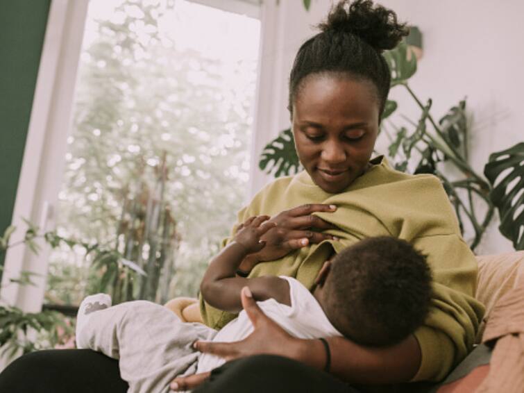 World Breastfeeding Week 2023 The Relationship Between Breastfeeding And Postpartum Weight Loss, Diet For Breastfeeding Mothers World Breastfeeding Week 2023: Know The Relationship Between Breastfeeding And Postpartum Weight Loss