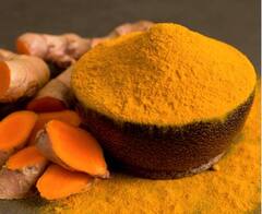 Turmeric : हिंगोलीत हळदीला मिळाला विक्रमी दर, शेतकरी आनंदी