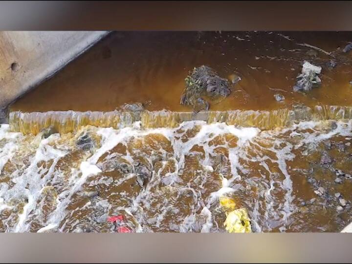 वाळवा तालुक्यातील कोळे गावच्या हद्दीत अनेक नाल्यातून कृष्णा सहकारी साखर कारखान्याचे मळीमिश्रीत सांडपाणी नदीत सोडले जात असल्याचे समोर येत आहे.