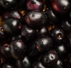 Health Tips: Pregnancy ਦੌਰਾਨ ਜਾਮਣ ਦੇ ਸੇਵਨ ਨਾਲ ਮਿਲਦੇ ਨੇ ਇਹ ਕਮਾਲ ਦੇ ਫਾਇਦੇ