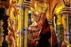 Lady Snows Tuticorin : தங்கத்தேரில் பவனி வரும் பனிமய மாதா.. தூத்துக்குடியில் குவிந்த மக்கள் கூட்டம்!