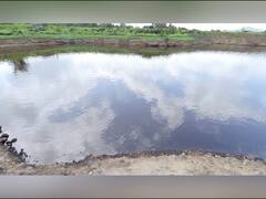 Sangli Krishna River : कारखान्याचे मळीमिश्रीत सांडपाणी कृष्णा नदी पात्रात, प्रदूषण नियंत्रण मंडळ गांधारीच्या भूमिकेत