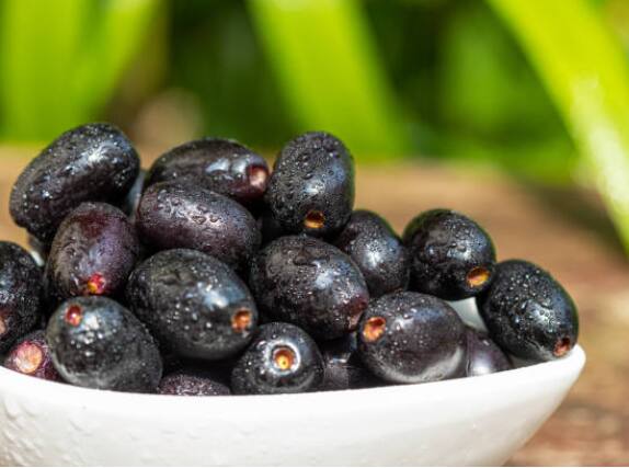 जांभळात कमी ग्लायसेमिक इंडेक्स आहे, याचा अर्थ साखर रक्तप्रवाहात हळूहळू सोडली जाते. हे गर्भावस्थेतील मधुमेहाचा धोका कमी करते आणि रक्तातील साखरेची पातळी नियंत्रित करण्यास मदत करते.