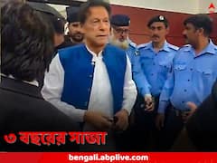 পাকিস্তানে গ্রেফতার ইমরান, কোষাগার থেকে কোটি কোটি টাকার সামগ্রী হস্তগত করার অভিযোগ, তালিকায় যা যা...