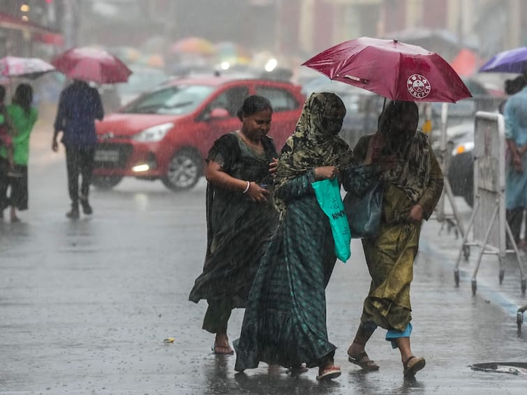 WATCH Fresh Spell Of Rain Lashes Parts Of Delhi More Rainfall Predicted Badarpur Witnesses Waterlogging Rain News Monsoon 2023 WATCH: Fresh Spell Of Rain Lashes Parts Of Delhi-NCR, Badarpur Witnesses Waterlogging