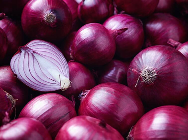 Onion Prices Hike might touch Rs 70 per kg by month-end says Crisil Onion Price: ఉల్లి రేటు రెట్టింపయ్యే ఛాన్స్‌ - ఈ ఘాటు నషాళానికి అంటుతుంది!