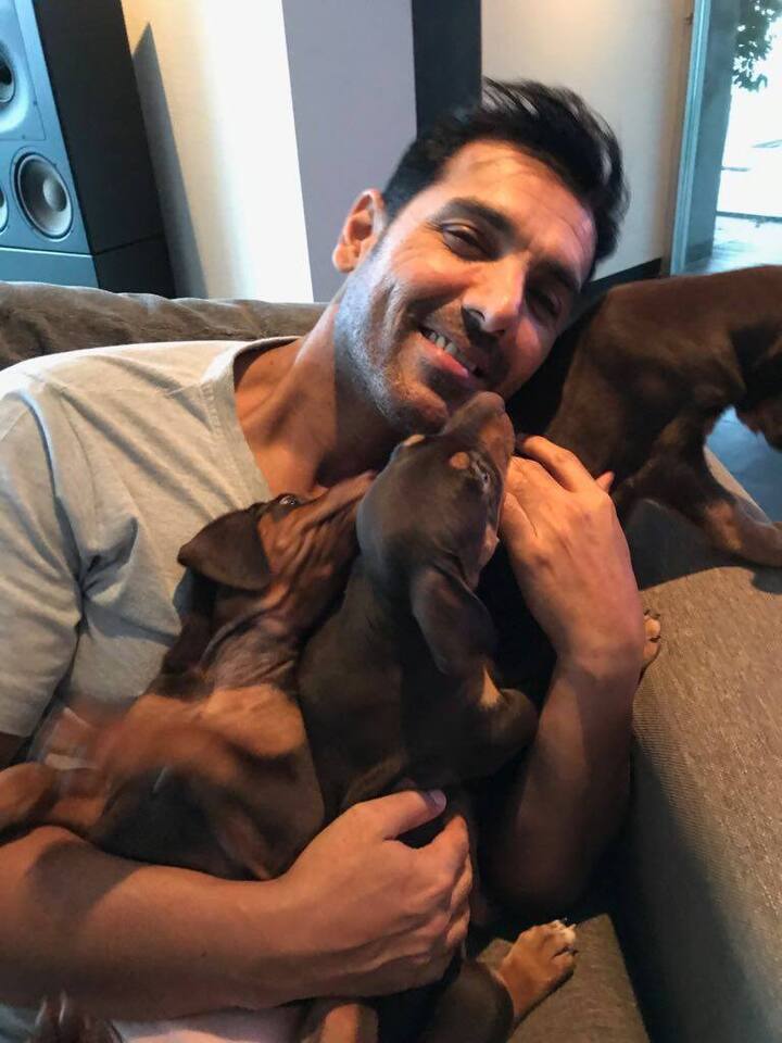 इस बात से तो सभी वाकिफ हैं कि जॉन एक बड़े एनीमल लवर हैं. जो जानवरों से बहुत प्यार करते हैं. इस शो में जॉन ने जो भी राशि जीती थी वो सारी उन्होंने एक एनीमल सुरक्षा वाले एनजीओ को ही दान की थी.