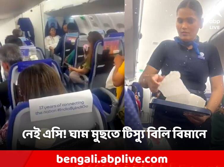 Congress leader says No AC on IndiGo flight, passengers handed tissues to wipe sweat Viral News: বিমানে নেই এসি, ঘেমে স্নান যাত্রীরা! ইন্ডিগো ফ্লাইট নিয়ে অভিযোগ কংগ্রেস নেতার