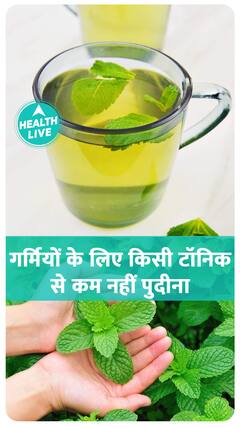 गर्मी में पुदीना किसी Tonic से कम नहीं जानिए कैसे ?