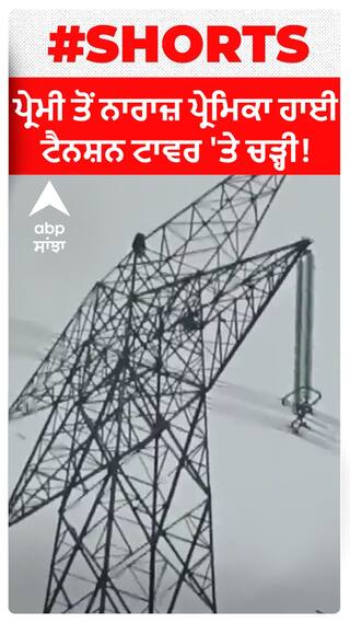 ਪ੍ਰੇਮੀ ਤੋਂ ਨਾਰਾਜ਼ ਪ੍ਰੇਮਿਕਾ ਹਾਈ ਟੈਨਸ਼ਨ ਟਾਵਰ 'ਤੇ ਚੜ੍ਹੀ!