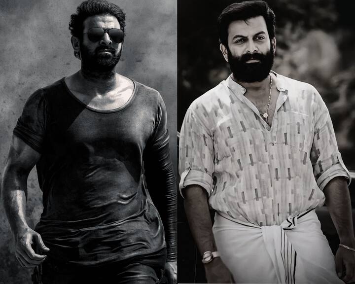இந்த படத்தில் பிரபாஸ், ஸ்ருதிஹாசன், பிருத்விராஜ், ஜெகபதி பாபு உள்ளிட்ட பல நட்சத்திரங்கள் நடித்துள்ளனர்.