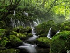 ਸਰਸਵਤੀ ਹੀ ਨਹੀਂ, ਇਹ ਨਦੀਆਂ ਵੀ ਜ਼ਮੀਨ ਥੱਲੇ ਵਹਿੰਦੀਆਂ ਨੇ, ਵੇਖੋ ਸੂਚੀ