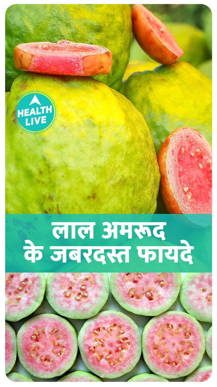 Which guava is best red or white?
