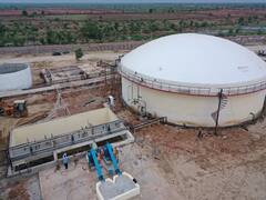 कोटा यूआईटी को हो रही गोबर से आय, लेकिन नगर निगम के लिए बन गया है मुसीबत, जानें- क्यों?