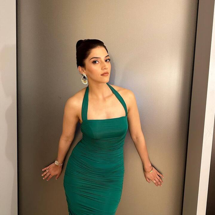 ప్రస్తుతం మెహ్రీన్ చేతిలో పెద్దగా సినిమాలు లేవు.