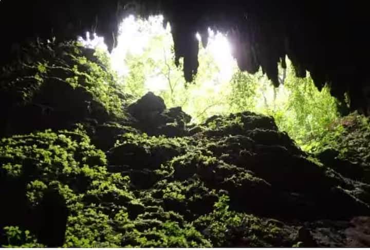 ਰੀਓ ਕੈਮੂ ਨਦੀ, ਪੋਰਟੋ ਰੀਕੋ: ਪੋਰਟੋ ਰੀਕੋ ਵਿੱਚ ਸਥਿਤ ਰੀਓ ਕੈਮੂ ਨਦੀ ਨੂੰ ਦੁਨੀਆ ਦੀ ਤੀਜੀ ਸਭ ਤੋਂ ਵੱਡੀ ਭੂਮੀਗਤ ਨਦੀ ਮੰਨਿਆ ਜਾਂਦਾ ਹੈ, ਜੋ ਲਗਭਗ 10 ਲੱਖ ਸਾਲ ਪੁਰਾਣੀਆਂ ਗੁਫਾਵਾਂ ਵਿੱਚੋਂ ਲੰਘਦੀ ਹੈ।