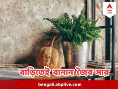 Indoor Plants Care: জৈব পদার্থ দিয়ে বাড়িতেই বানিয়ে নিন গাছের জন্য প্রয়োজনীয় সার
