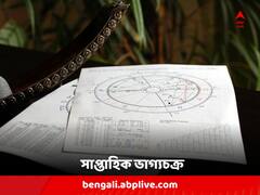 Weekly Horoscope : এ সপ্তাহে যেমনটা চাইবেন, তেমনটাই হবে এই রাশির ; কেমন কাটবে আপনার ?