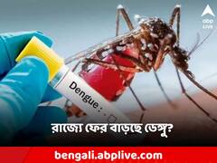 ডেঙ্গি পরিস্থিতি উদ্বেগজনক রাজ্যে, গত সপ্তাহেও বেড়েছে সংক্রমণ!