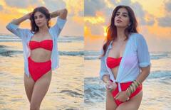 Miesha Iyer : એક્ટ્રેસ મિશા ઐય્યરે બિકિનીમાં આપ્યા કાતિલ પોઝ, તસવીરો વાયરલ