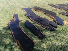 चंदन नहीं, ये है दुनिया की सबसे महंगी लकड़ी, 5-6 किलो में तो हो जायेगा बढ़िया से घर का जुगाड़!