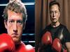 Zuck Vs Musk: కేజ్‌లో కొట్లాడుకోనున్న మస్క్, మార్క్ - లైవ్ స్ట్రీమింగ్ కూడా!
