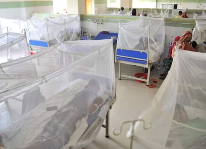 Dengue: बांग्लादेश में डेंगू का कहर, अब तक 293 की मौत, 60 हजार से ज्यादा लोग संक्रमित