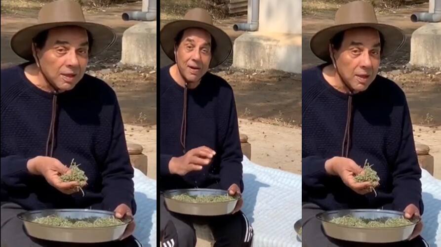 rocky-aur-rani-ki-prem-kahani-success-dharmendra-spend best moment in-village watch-video Dharmendra: ਧਰਮਿੰਦਰ ਕਿੱਸਿੰਗ ਸੀਨ ਦੀ ਚਰਚਾ ਵਿਚਾਲੇ ਪਿੰਡ 'ਚ ਬਤੀਤ ਕਰ ਰਹੇ ਖਾਸ ਪਲ, ਮੰਜੇ 'ਤੇ ਬੈਠ ਸ਼ੇਅਰ ਕੀਤੀ ਵੀਡੀਓ