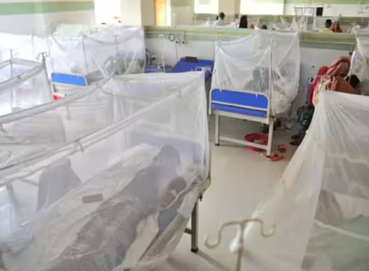 dengue outbreak in bangladesh 293 dead more than 60 thousand people infected Dengue: ਬੰਗਲਾਦੇਸ਼ 'ਚ ਡੇਂਗੂ ਨੇ ਮਚਾਈ ਤਬਾਹੀ ! ਹੁਣ ਤੱਕ 293 ਮੌਤਾਂ, 60 ਹਜ਼ਾਰ ਤੋਂ ਵੱਧ ਲੋਕ ਪੀੜਤ