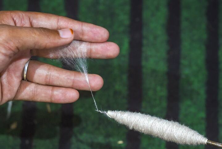 ভারতের হস্তচালিত তাঁত, তাঁতশিল্পী এবং তাঁতের সঙ্গে জড়িত সব মানুষকে সম্মান জানাতেই পালিত হয় জাতীয় তন্তু দিবস বা National Handloom Day. প্রতিবছর ৭ আগস্ট দিনটি পালন করা হয়।