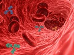 समुद्र में खून का रंग हरा क्यों दिखाई देता है? जानिए क्या है इसके पीछे का राज
