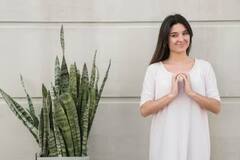 Plants: ਘਰ 'ਚ ਲਾਓ ਇਹ ਬੂਟੇ, ਮਿਲੇਗੀ ਸ਼ੁੱਧ ਤੇ ਸਾਫ ਹਵਾ