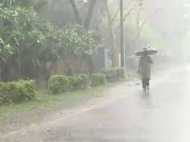 Chance of rain in 4 districts in next 3 hours in Tamil Nadu Do you know which districts full details Rain Alert: தமிழகத்தில் அடுத்த 3 மணி நேரம்.. 4 மாவட்டங்களில் மழைக்கு வாய்ப்பு..! எந்தெந்த மாவட்டங்களில்?